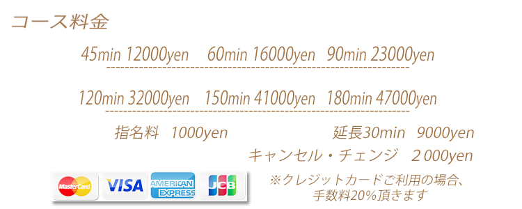 システム料金